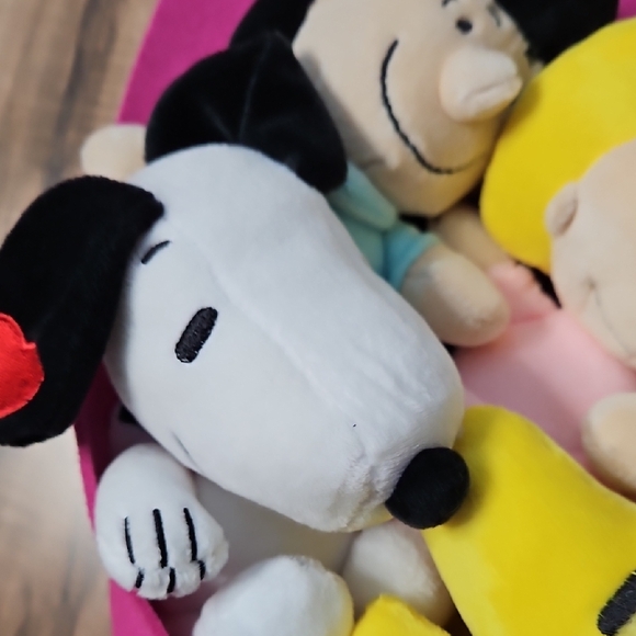 Peanuts Plush Toy Bouquet - Pink and Yellow Characters Snoopy Charlie Brown - Picture 12 of 13